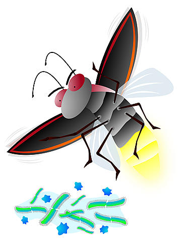 File:Cartoon.jpg