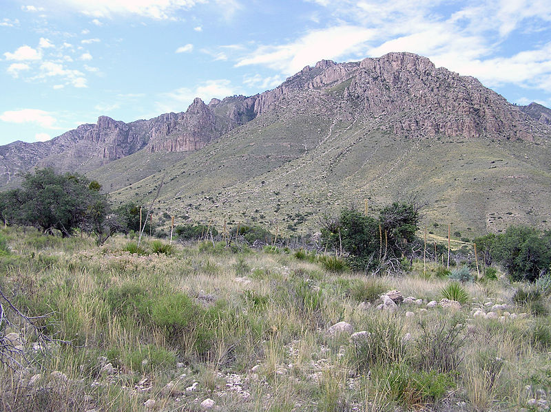 Ficheiro:Guadalupe Mountains National Park P1012846.jpg