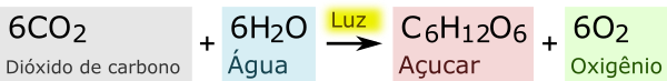 Ficheiro:Equacao da Fotossintese.png