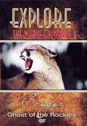 Cougar Ghost of the Rockies.gif