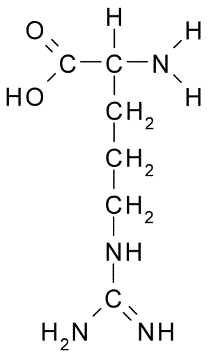 Ficheiro:L-Arginine.png