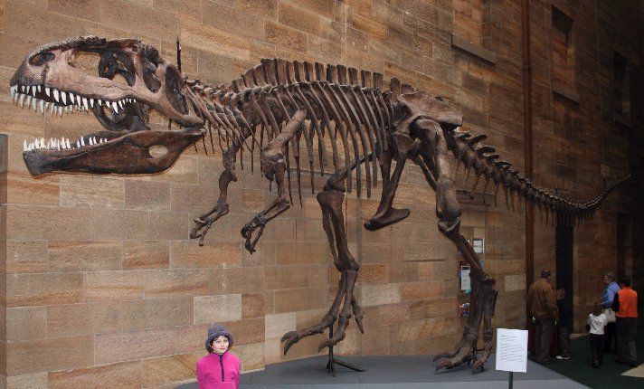 File:Giganotosaurus.jpg