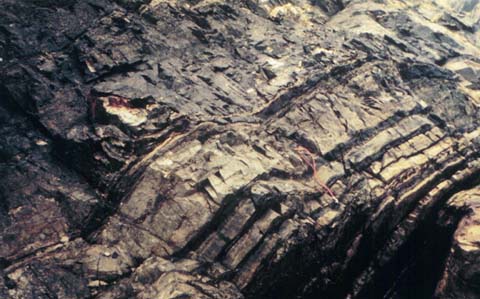 File:Graywacke turbidites.jpg