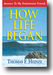 How Life Began.gif