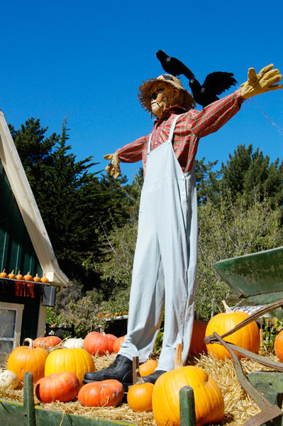 Fichier:Scarecrow in farm.jpg
