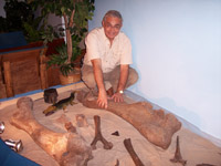 Csi-fossils.jpg