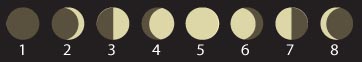 Moon Phases.jpg