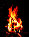 Thumbnail for version as of 04:55, 16 April 2014