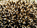 Thumbnail for version as of 21:10, 24 February 2013