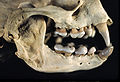 Thumbnail for version as of 20:35, 12 February 2013