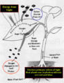 Thumbnail for version as of 00:24, 25 November 2006