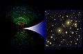 SDSS Galaxy Zoom