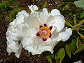 Thumbnail for version as of 03:43, 7 June 2012