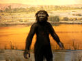 Thumbnail for version as of 20:58, 16 February 2009