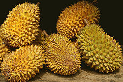 Durian.jpg