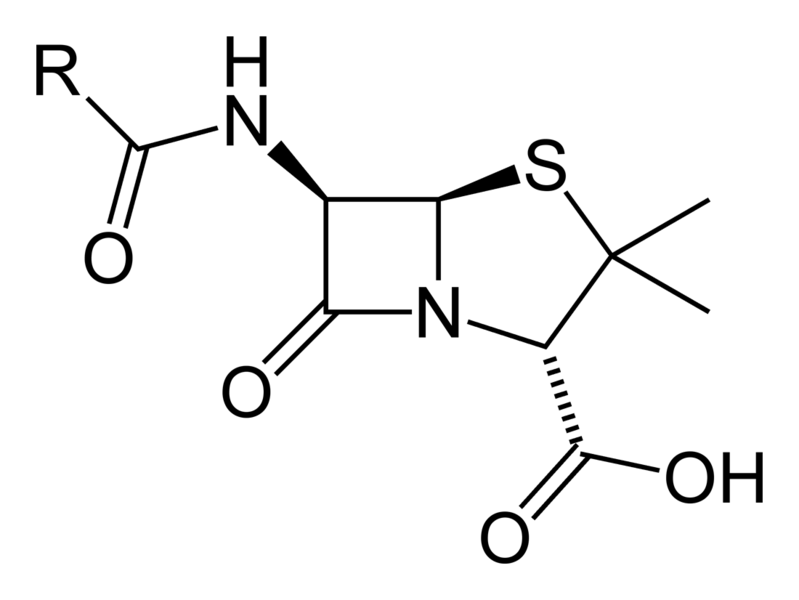 File:Penicillin-nucleus.png