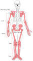 Thumbnail for version as of 21:43, 5 February 2009