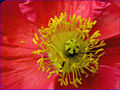 Thumbnail for version as of 02:19, 27 May 2008