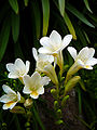 Thumbnail for version as of 03:36, 24 April 2009