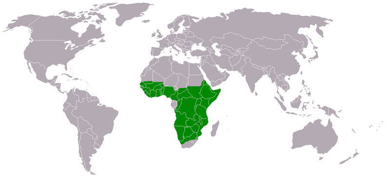 File:Martial Eagle Habitat Range.png