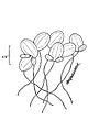 Thumbnail for version as of 18:07, 20 April 2009