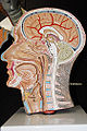 Thumbnail for version as of 19:40, 21 February 2013