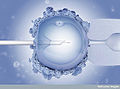 Thumbnail for version as of 00:22, 31 January 2012
