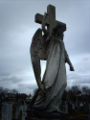 Angel at Brooklands cemetery.