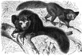Thumbnail for version as of 09:27, 12 January 2015