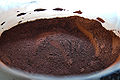 Thumbnail for version as of 05:24, 11 May 2010
