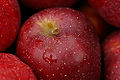 Red Delicious