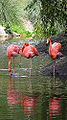 Thumbnail for version as of 00:22, 17 February 2010