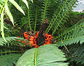 Thumbnail for version as of 02:44, 11 June 2010