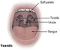 Thumbnail for version as of 13:52, 8 March 2010