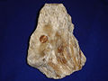 Thumbnail for version as of 02:13, 20 January 2009