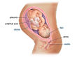 Thumbnail for version as of 01:19, 6 February 2009