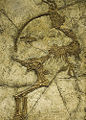 Thumbnail for version as of 06:13, 30 November 2008