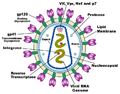 Thumbnail for version as of 23:50, 26 October 2014