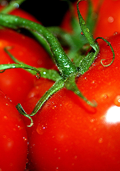 File:Tomato2.jpg