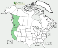 Acermacrophyllumdistribution.png