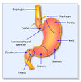 Thumbnail for version as of 00:26, 16 October 2014