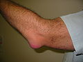 Thumbnail for version as of 04:59, 29 January 2012