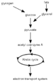 Thumbnail for version as of 04:22, 22 November 2008