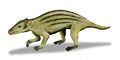 Thumbnail for version as of 20:01, 2 January 2009