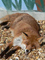 Thumbnail for version as of 01:37, 11 March 2008