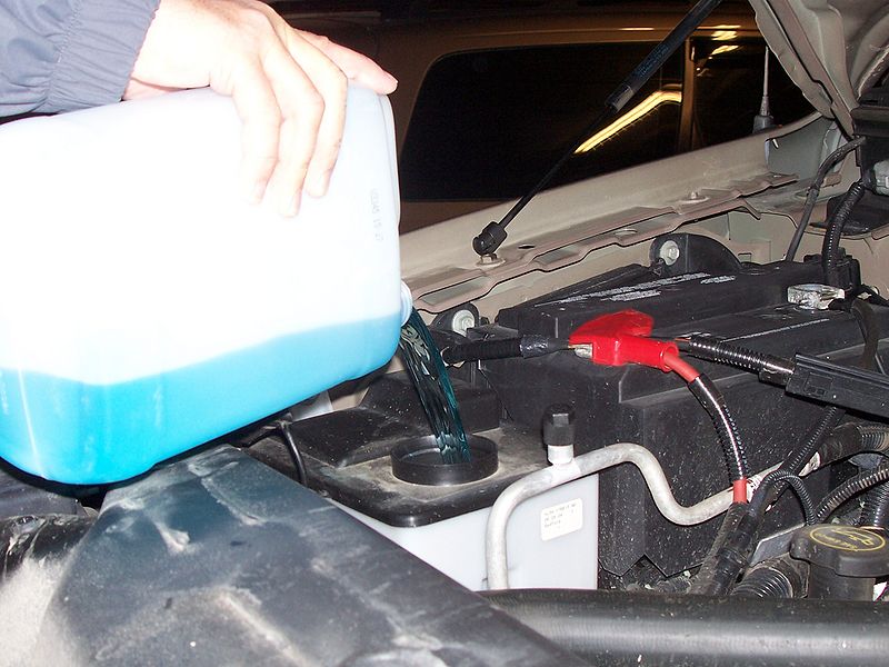 File:Man pouring antifreeze.jpg