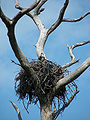 Thumbnail for version as of 01:28, 17 February 2011