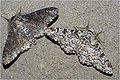 Thumbnail for version as of 22:47, 3 October 2012