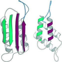 Prion structure