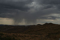 Rain.jpg